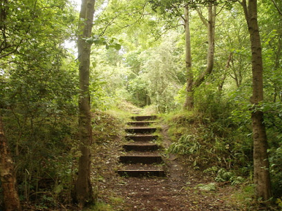 Sophrologie, Psychothérapie - Tarn - Sudre Jocelyne 81